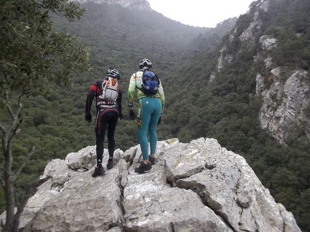  excursion 
