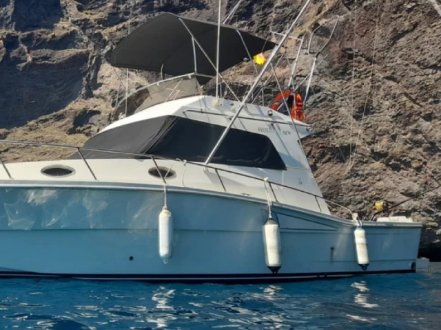 Bootsverleih mit Muster von Puerto Colón 4h