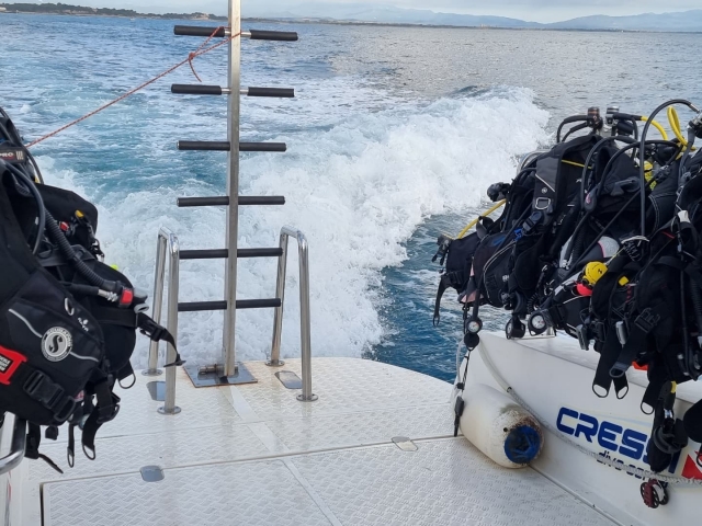 Ven a explorar el fondo marino