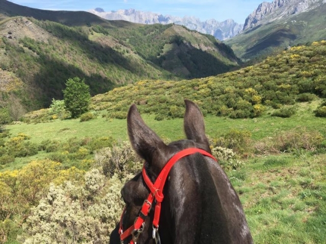  Equestrian route in Cantabria 