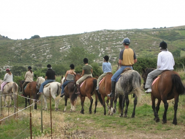  On horseback through the Oyambre natural park 