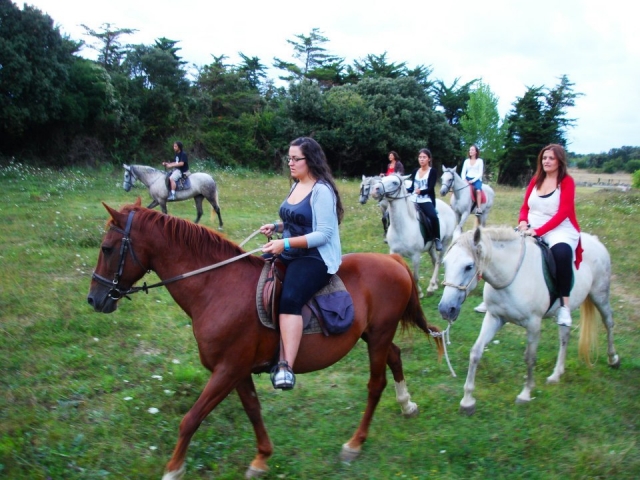 Rutas por el campo a caballo