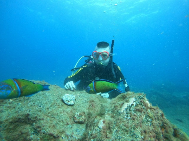 Descubre la fauna marina