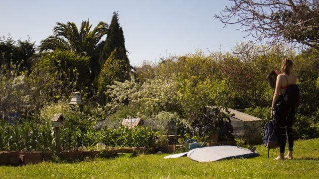  Adult surfcamp 