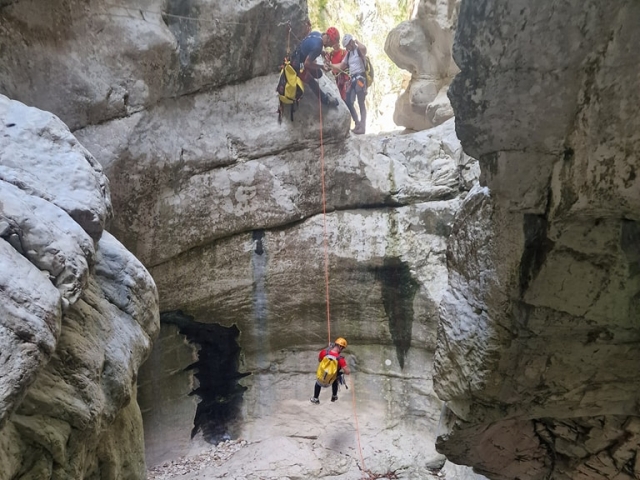  阿利坎特干溪降 