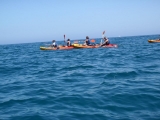 15 km double kayak route + picnic