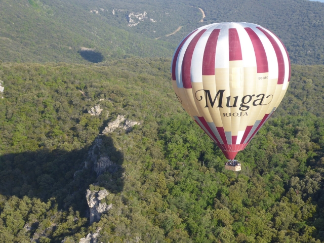 Despegando con el globo entre la arboleda