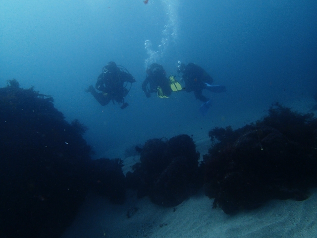 Experiencia de buceo