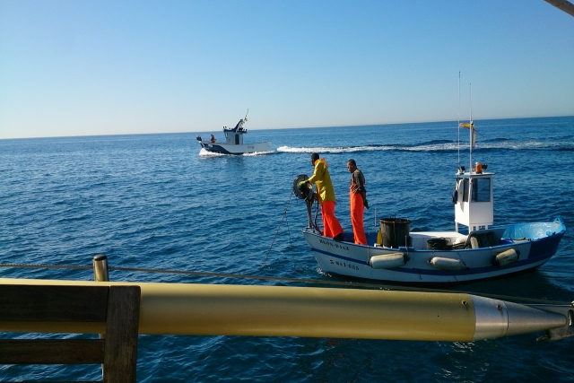  Excursão de El Barco através de Estepona 