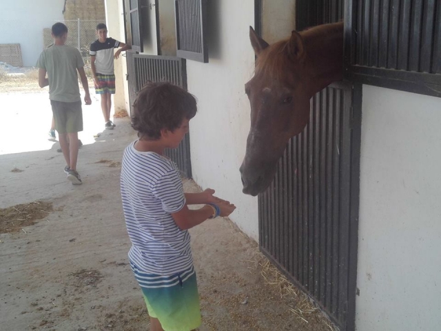  Profiter des chevaux 