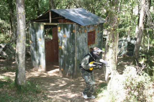  小屋里森林 