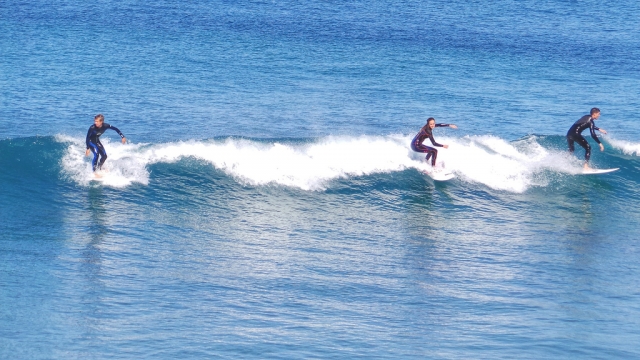  Surfer 