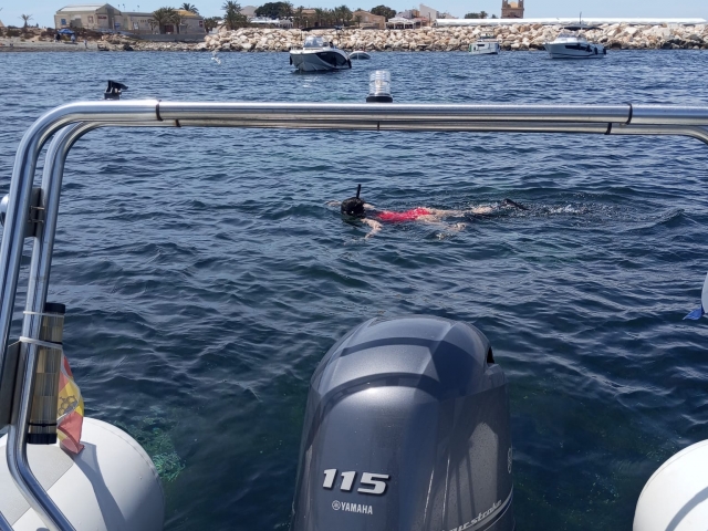 p-19436-haciendo-snorkel-durante-la-jornada1749630526_17496305628146.jpg
