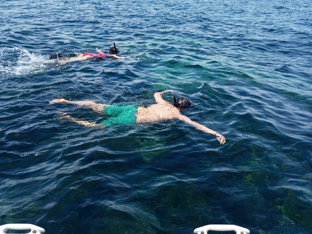 p-19436-snorkel1749630526_17496305593259.jpg