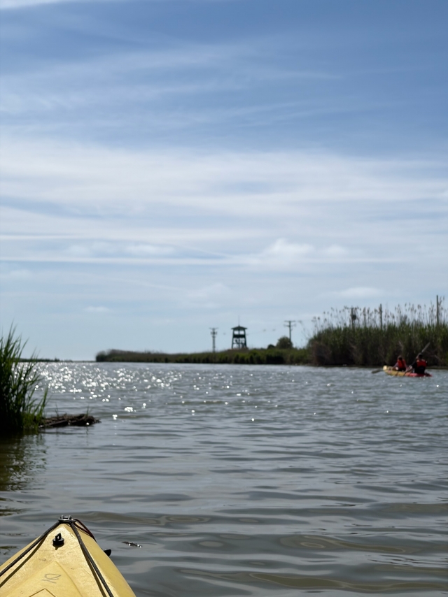 Kayak en Tarragona