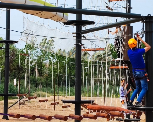  Hanging bridge circuit 