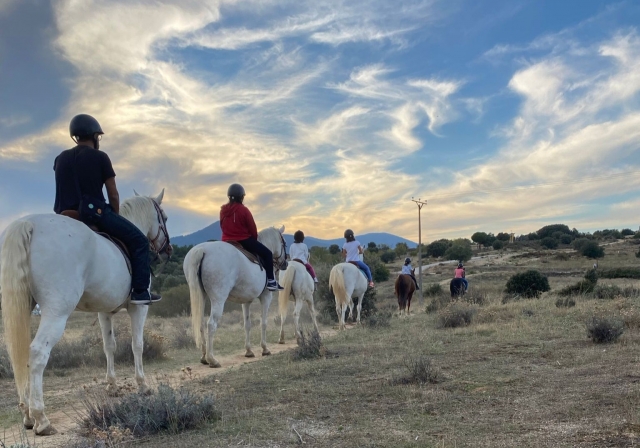  Desfrutando de um percurso a cavalo por San Martín de Valdeiglesias