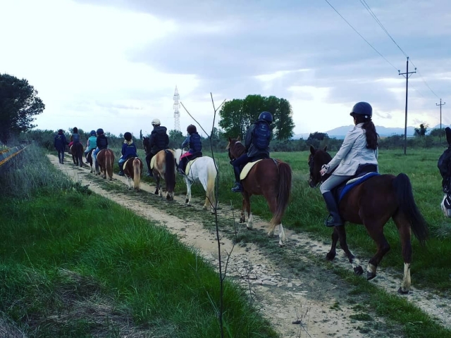  每个人都排成一排