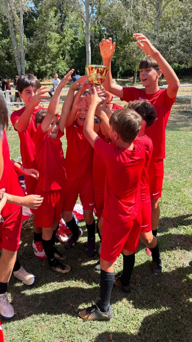  埃尔哈拉马足球训练 