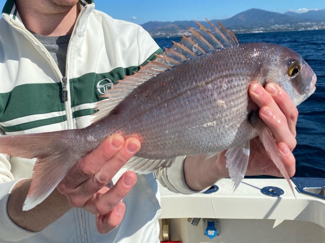  2 ore di pesca a Marbella 