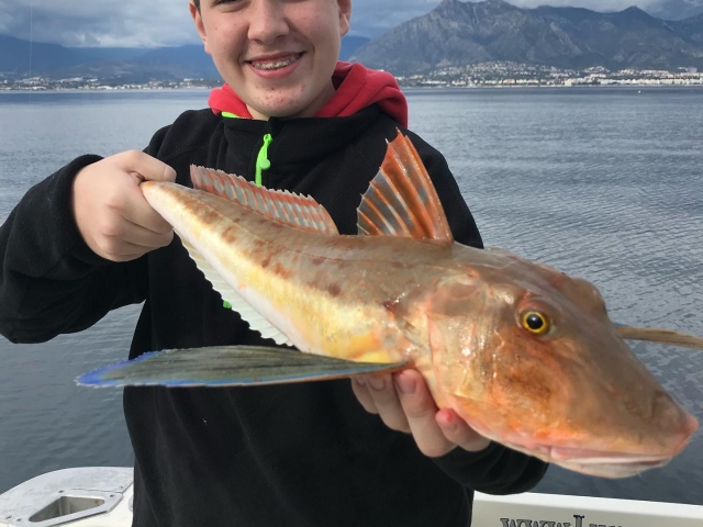 Pesca en Marbella