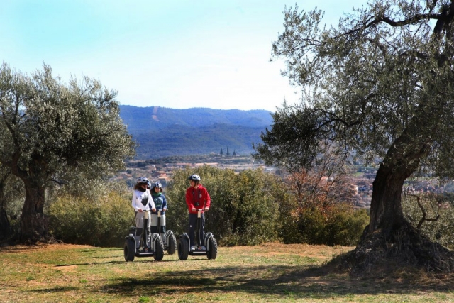  Geführte Segway-Route durch die Landschaft 