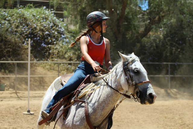 Paseo guiado en Robledo 