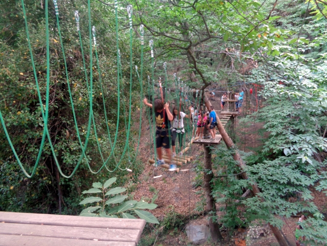 Aventura en los árboles