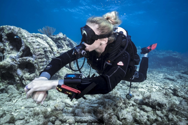  Dive with us 