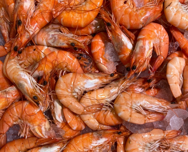  Gamberi freschi a Palamós 