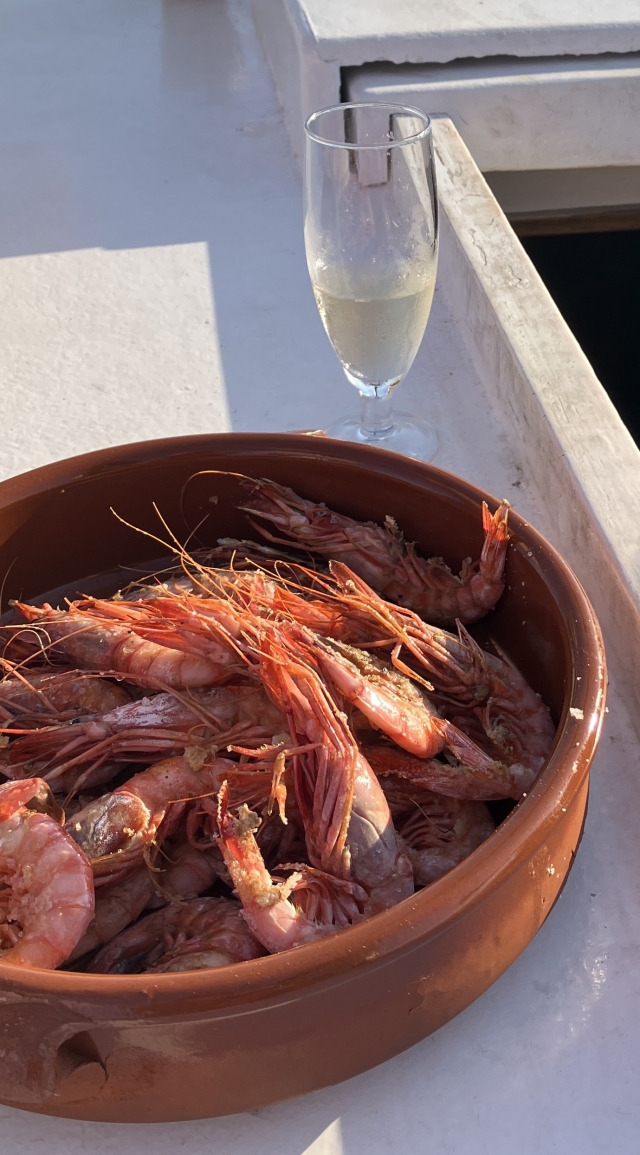 Ruta en barco y camarones de Palamós