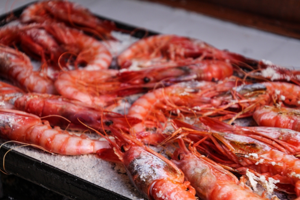 Deagrada nuestras camarones