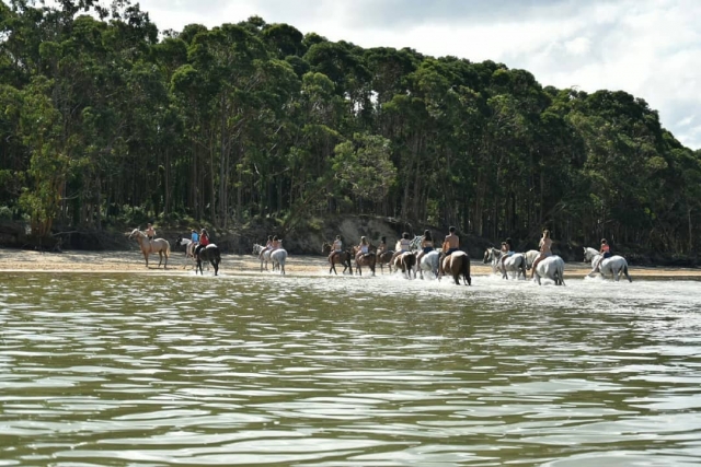 Atravesando las aguas