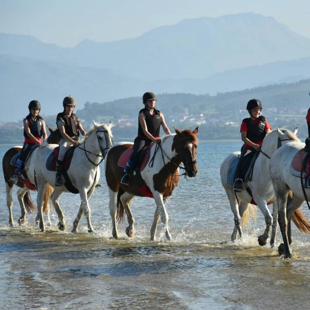 Caballos por la playa