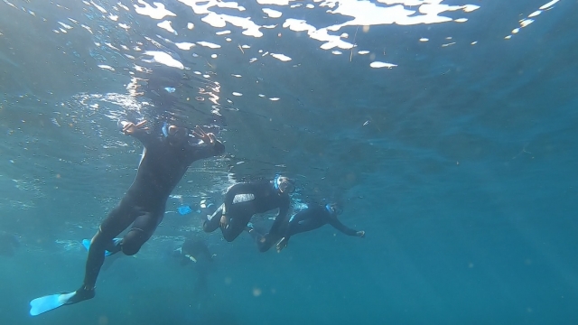 Excursión de snorkel en Playa de Ris