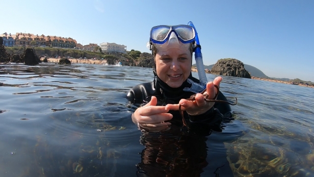 Día de snorkel