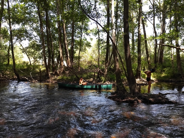  Canoës dans le Jarama 