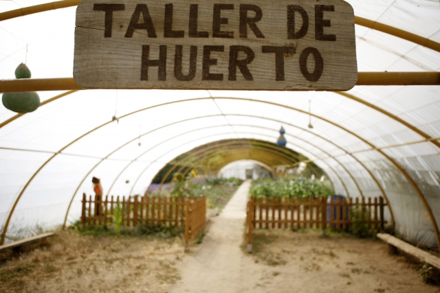  Atelier de jardinage 