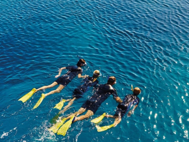 Snorkeling Route per Cabo de Gata - Níjar, 2h30m