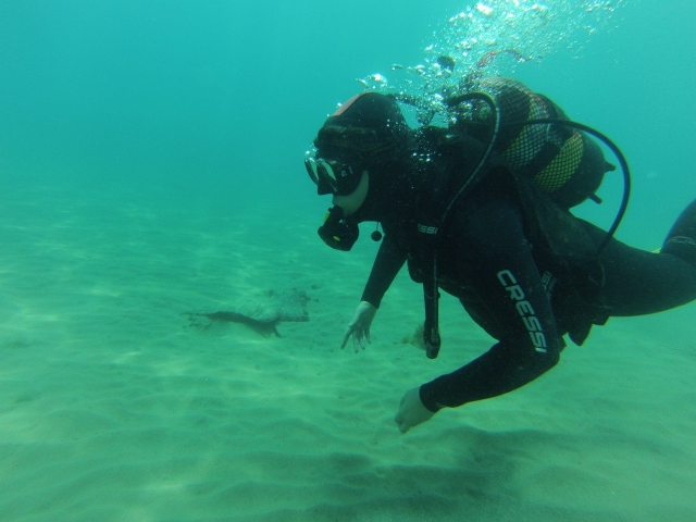  Advanced diving course in Almería