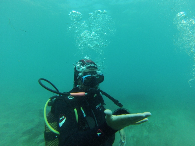  PADI Advanced course on the coast of Almería 