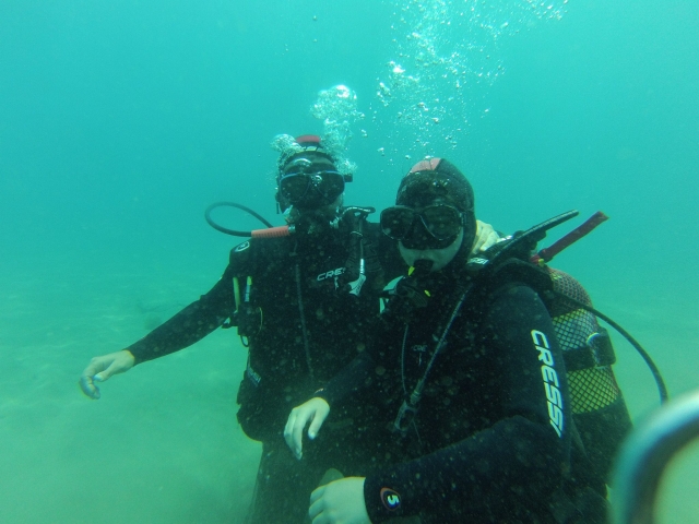  Take a trip diving along the coast of Aguadulce 