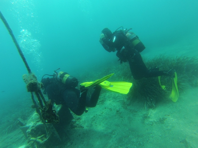  Learn to dive on the coast of Almeria 
