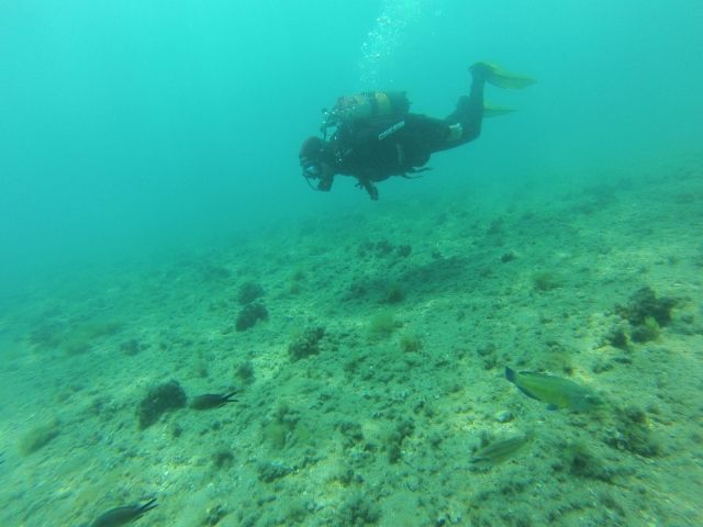 Open Water Diver Tauchkurs in Aguadulce 