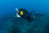 Open Water Diver Madrid prácticas Altea o Murcia