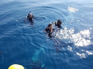 Pack 4 dives in Canet with equipment and 1 free
