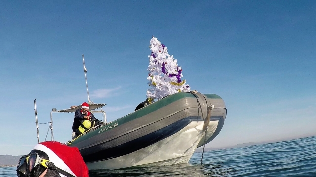 Mit dem Boot auf dem Meer 