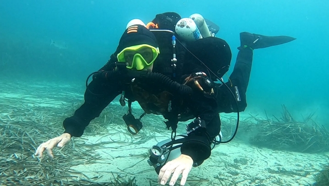  Learn to dive