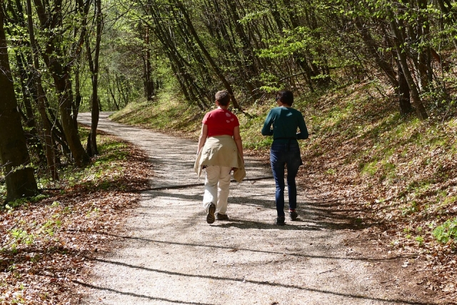Paseo por el bosque