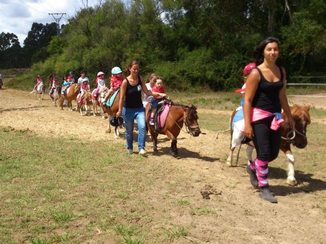  Die Kleinen auf einem Pony führen 